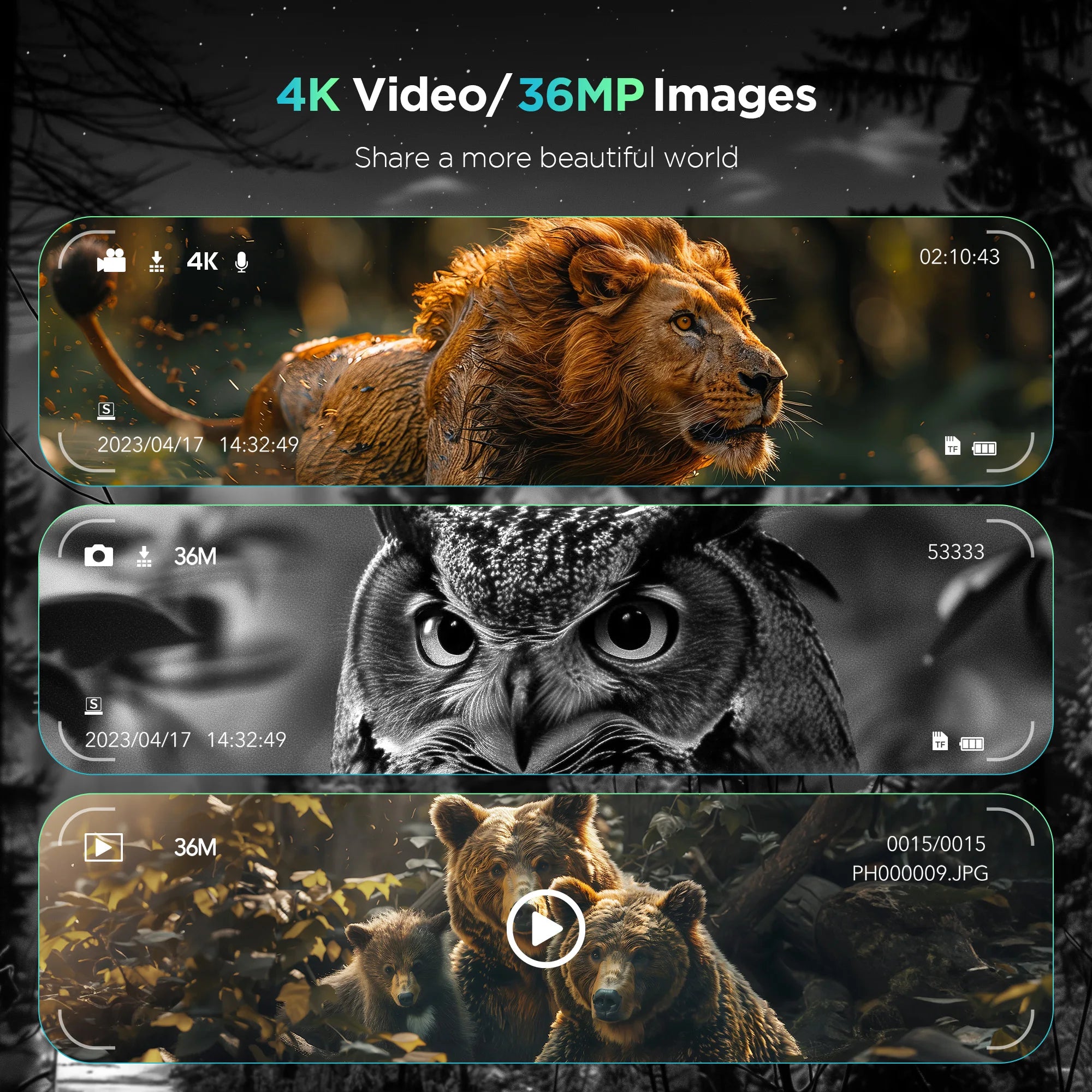 Night Vision Binoculars 8X Digital Zoom