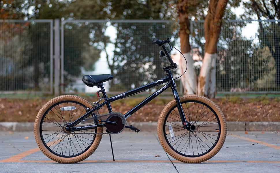24" JOYSTAR Brockway Freestyle Kids BMX Bikes for 6-14 Years